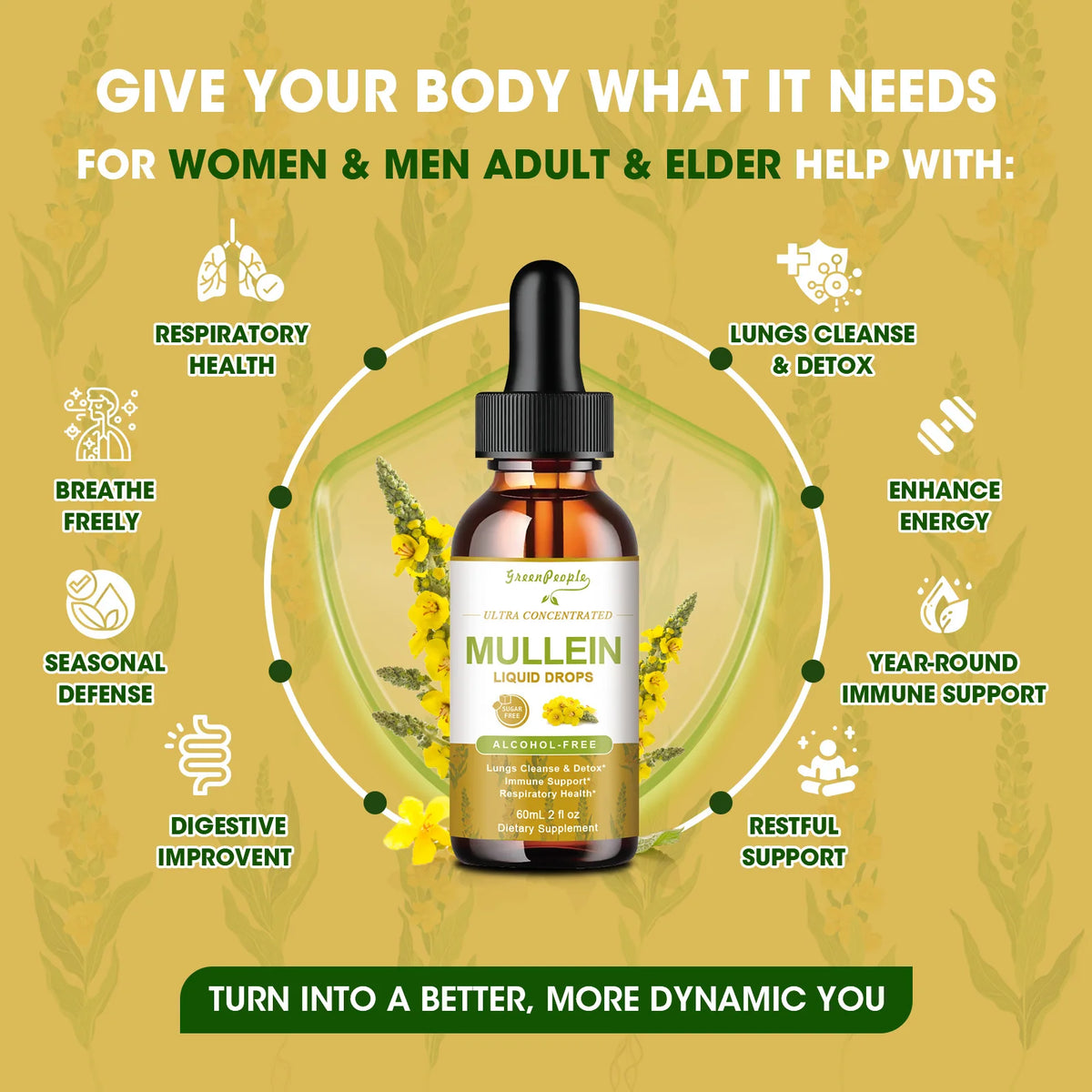 MINCH Mullein Drops Immunity Support And Respiratory Health