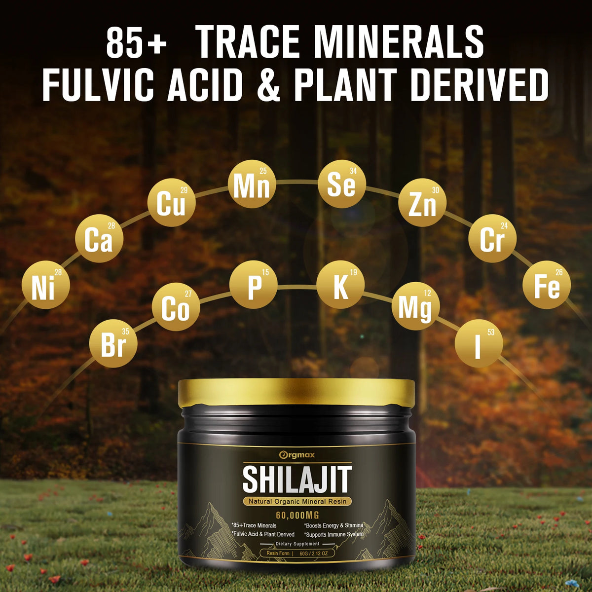 IMATCHME Shilajit Resin Minch Global Trade Energy Immunity